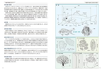 【絶版本　美品】原色検索　日本海岸動物図鑑2 原色検索日本海岸動物図鑑 2 | 西村 三郎 |本 | 通販 | Amazon